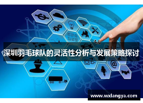 深圳羽毛球队的灵活性分析与发展策略探讨