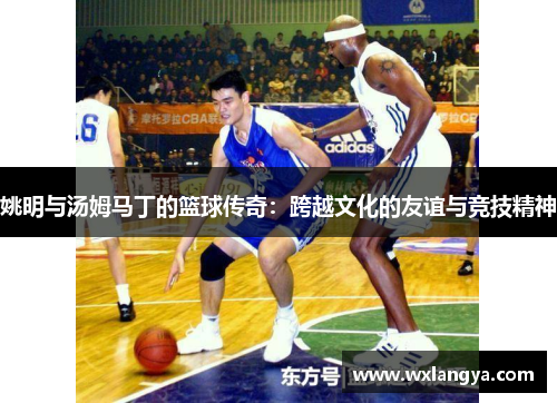 姚明与汤姆马丁的篮球传奇：跨越文化的友谊与竞技精神