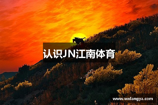 认识JN江南体育